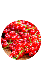 Ingredient 1